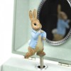 Guarda Joias Petter Rabbit