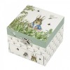 Musical Cube Box Peter Rabbit© - Dragonfly