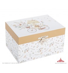 Gatinho na Bicicleta - Caixa de Musica