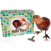 Pássaro Kiwi