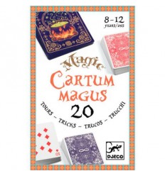20 Truques de Magia com Cartas