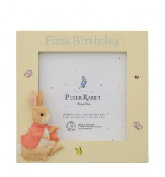 Moldura primeiro aniversário Flopsy