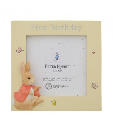 Moldura primeiro aniversário Flopsy