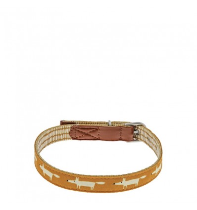 Coleira Mr Fox 