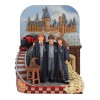 Harry Potter Trio - Harry Potter™