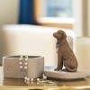 Love my Dog (Dark) Box by Willow Tree ®