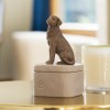 Love my Dog Dark em caixa - Willow Tree ®