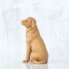 Love my Dog Light