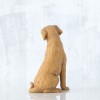 Love my Dog Light