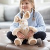 Peter Rabbit Christmas Small