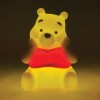 Winnie the Pooh Ilumindado - Disney ©