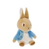 Peluche Peter Rabbit ™