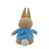 Peluche Peter Rabbit ™