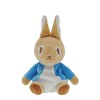 Peluche Peter Rabbit ™