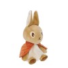 Peluche Coelhinho Flopsy - Peter Rabbit™