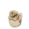 Sra. Tiggy-Winkle Íman de Madeira - Beatrix Potter