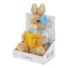 Peluche Peter Rabbit ™