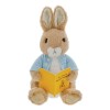 Peluche Peter Rabbit ™