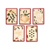 Cartas 